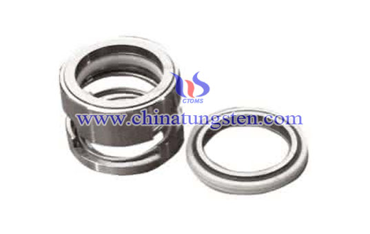 Tungsten Carbide Seals Picture