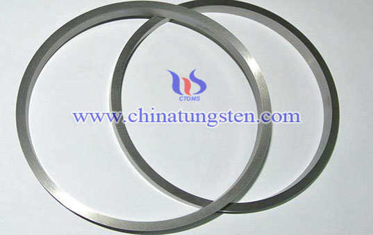 Tungsten Carbide Type O Seals picture